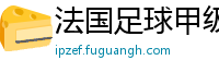 法国足球甲级联赛